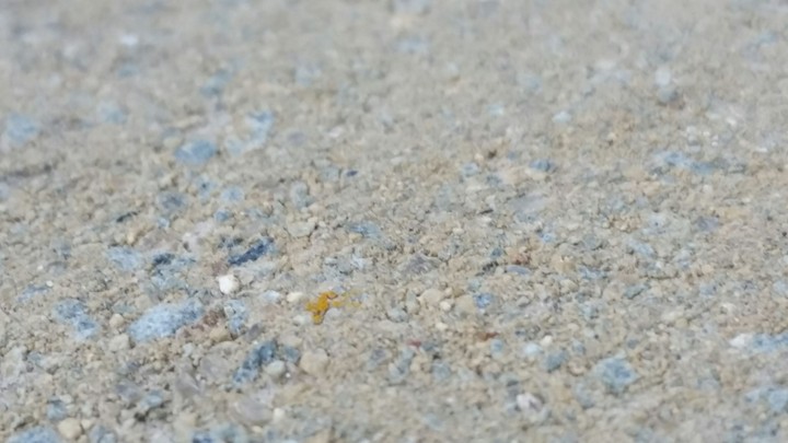 concrete texture