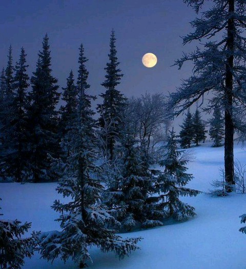 ταπετσαρίες nature, light