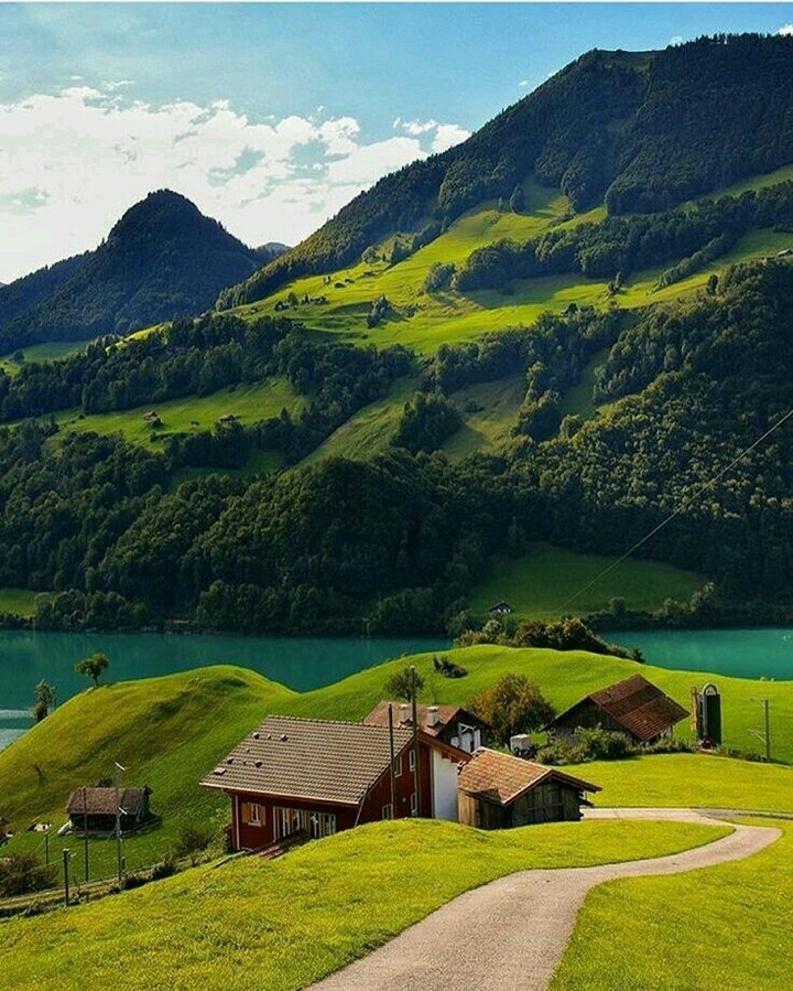 nature