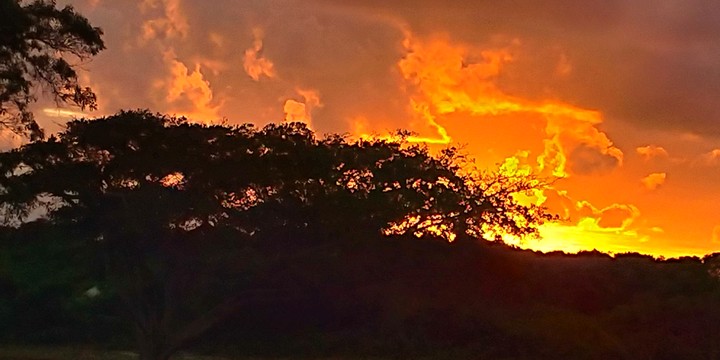 sunset