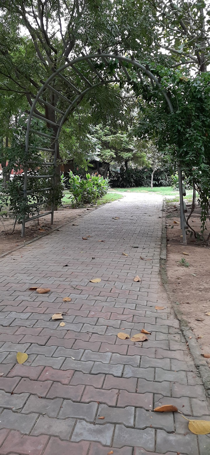 Park