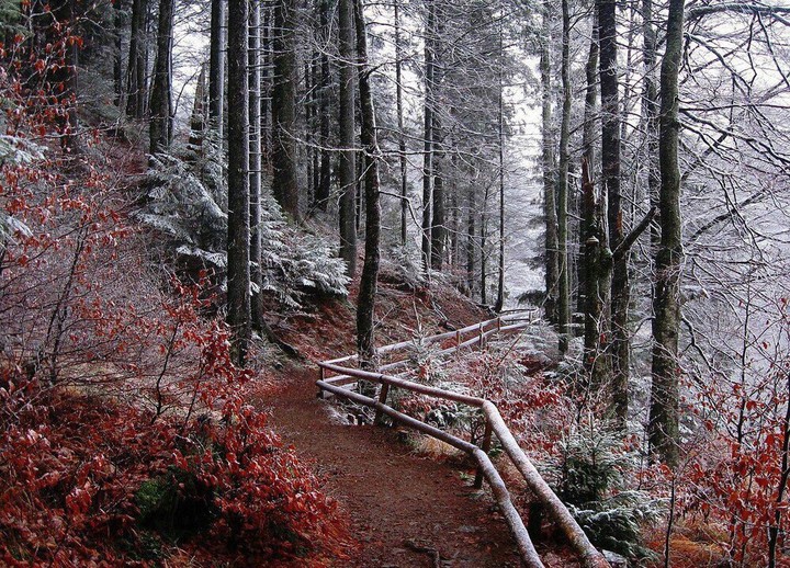 Karpaty Ukraine