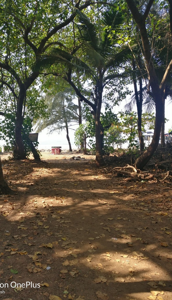 Seashore at its best