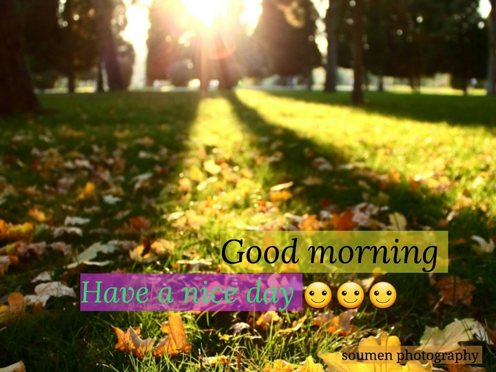 Good morning☺☺☺