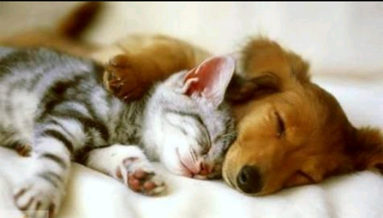 Love