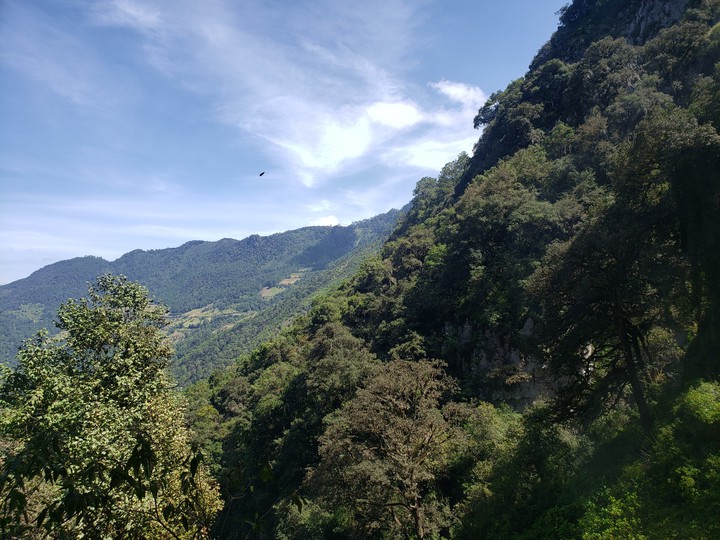 somewhere