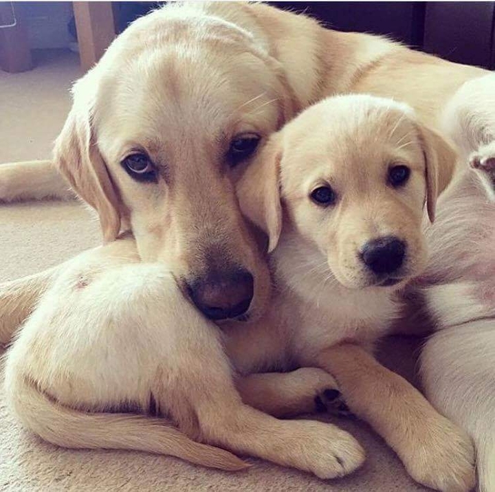 Like father.. Like son