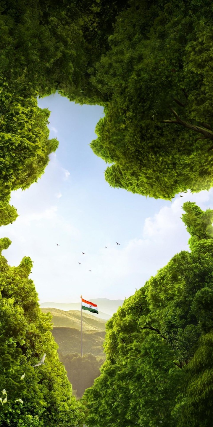 my national flag