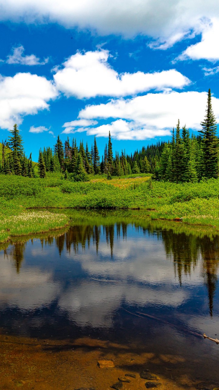 Nature