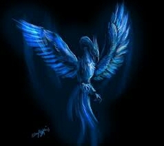 Phoenix