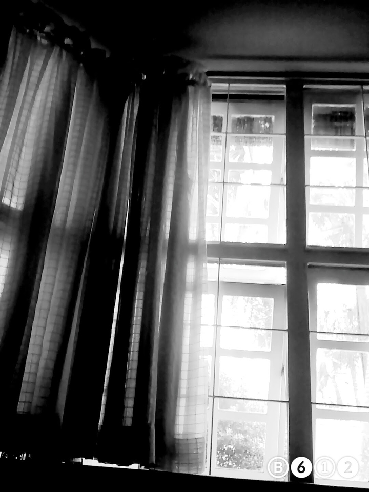 Glasses of window