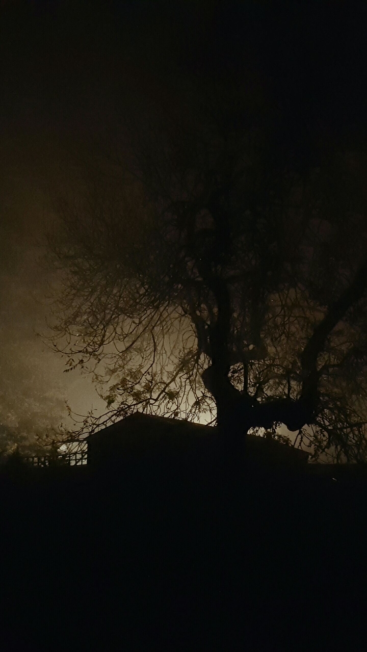 Fog can be pretty
