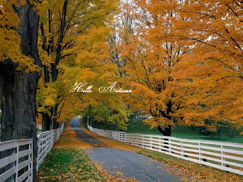 autumn