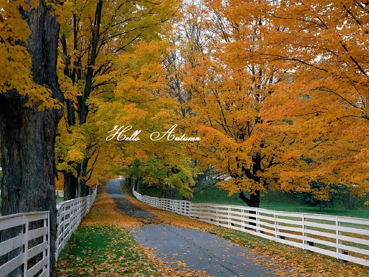 autumn