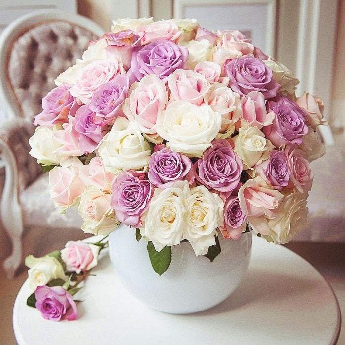 rosy