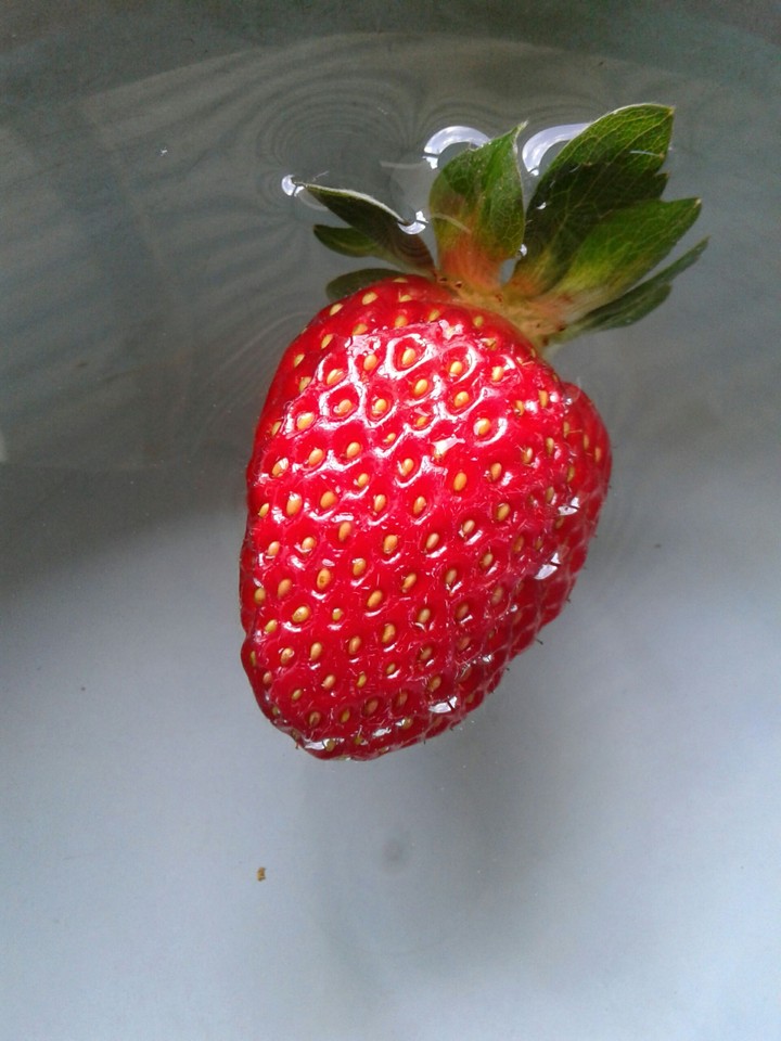 fresa