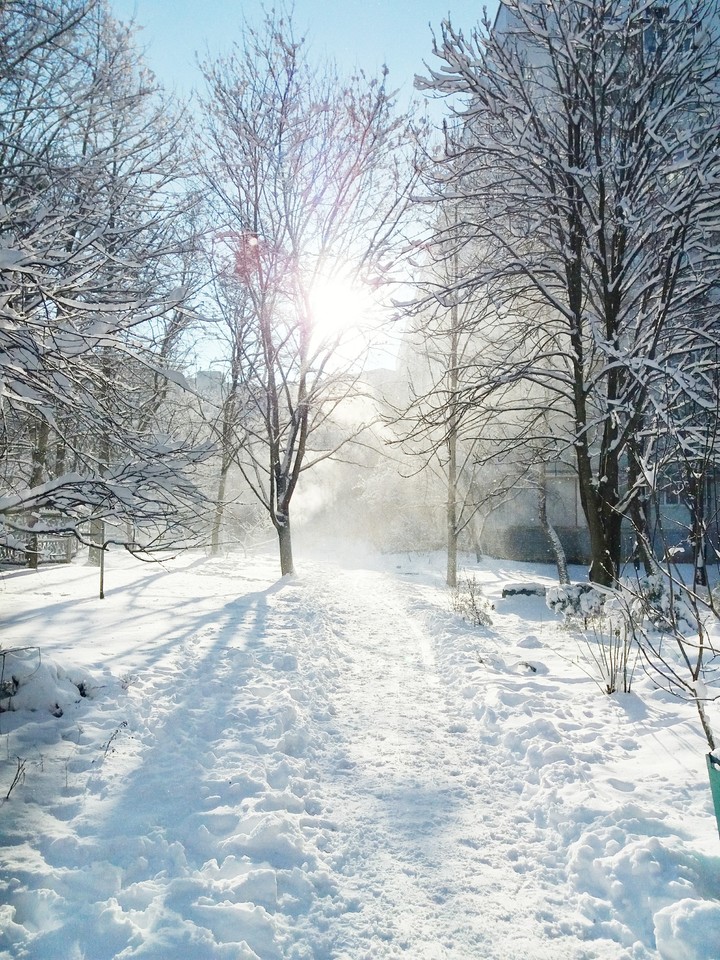 Road in tale