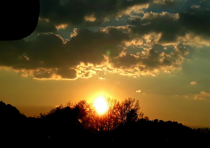 light