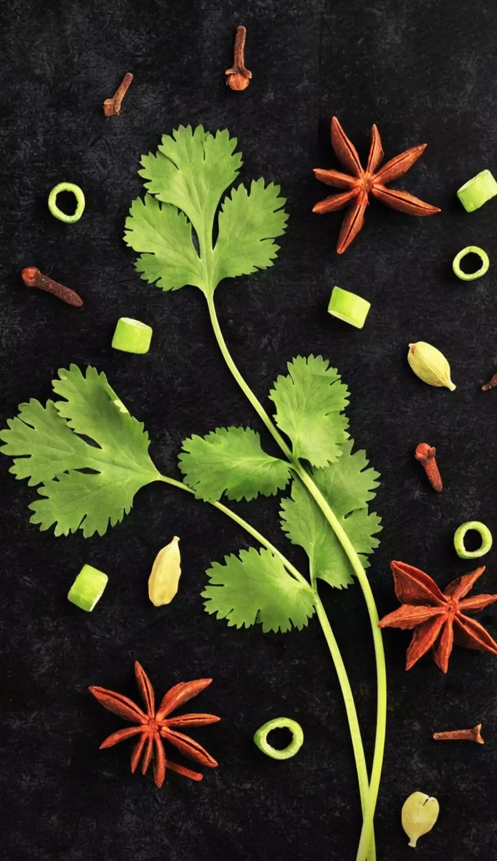 green coriander