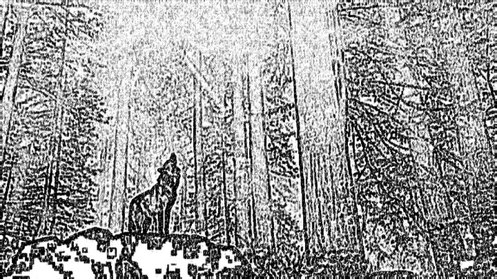 el viaje lobo