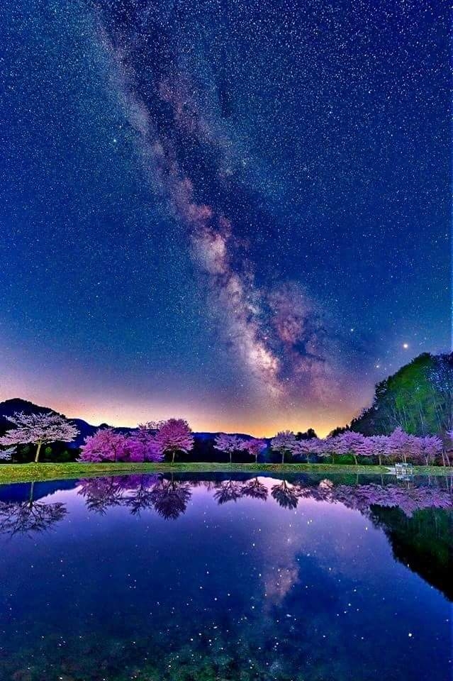 Night