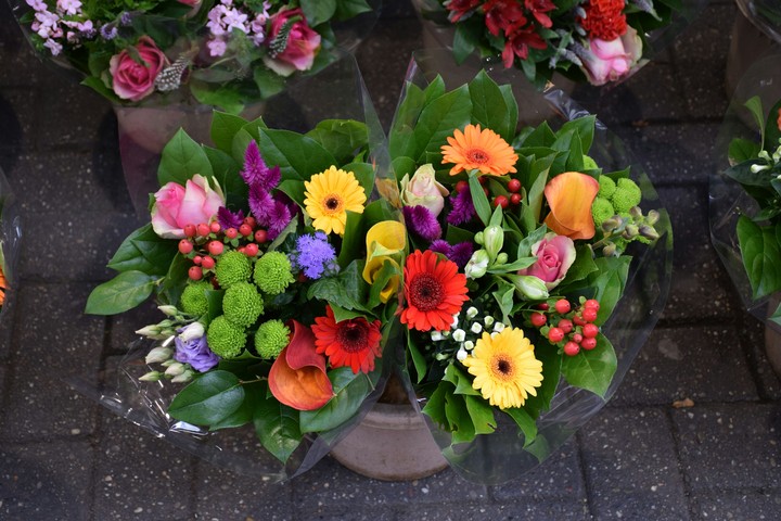 Flowers