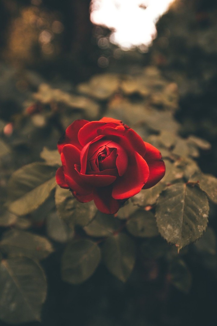 ♥️