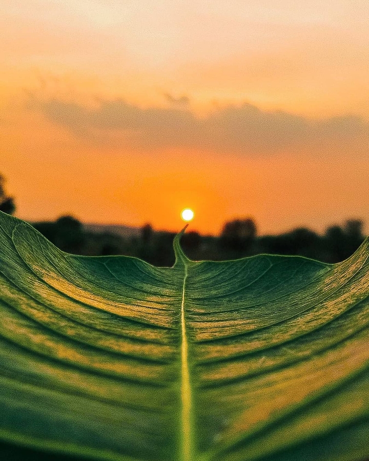 ❤