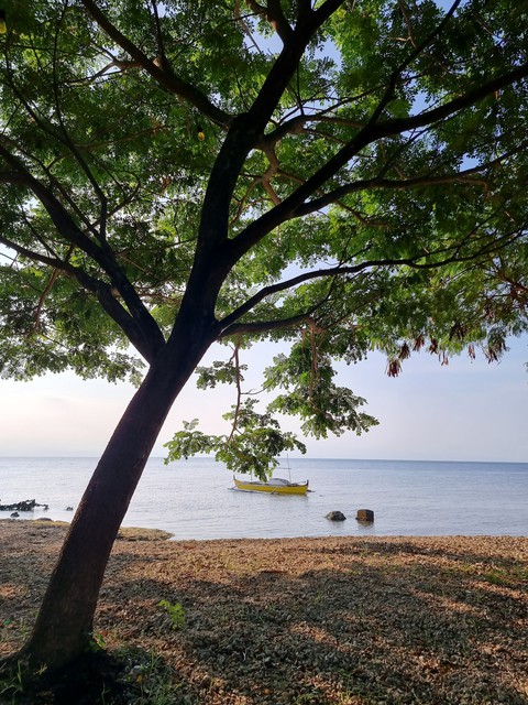 Beach Morning