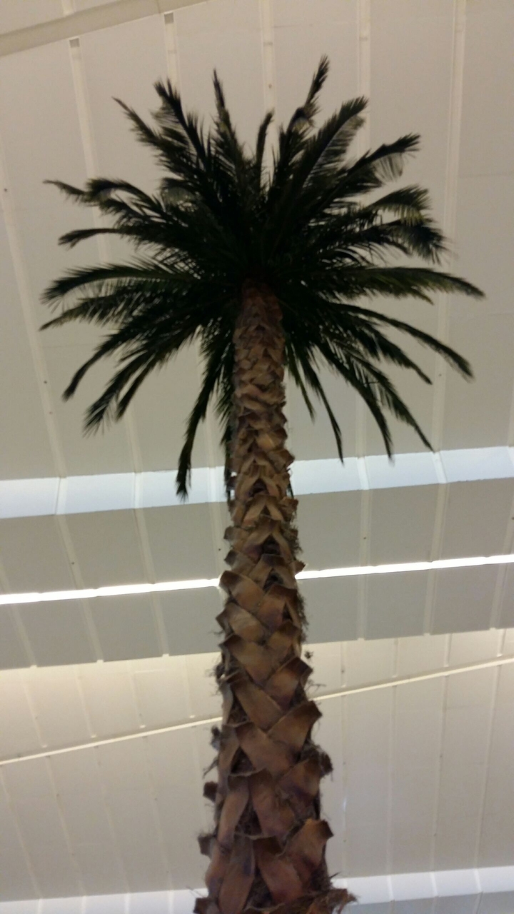I.G.I AIRPORT