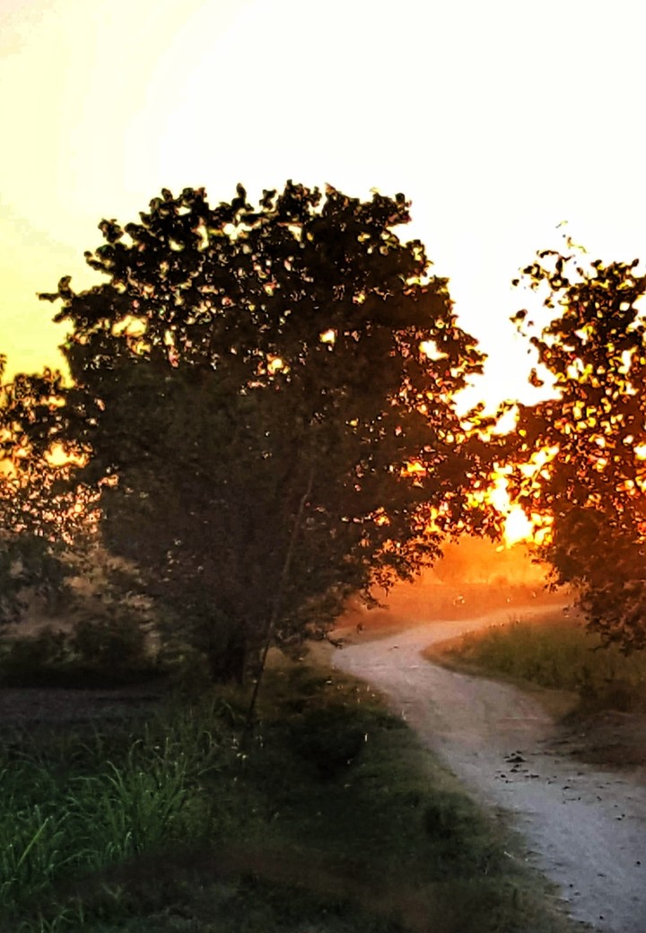 pathway