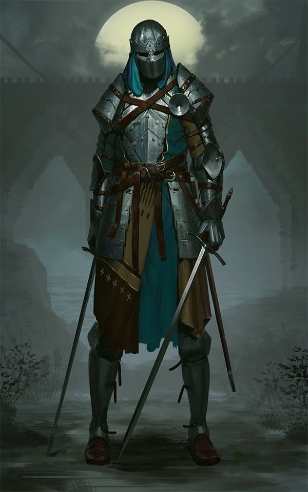 NINJA KNIGHT