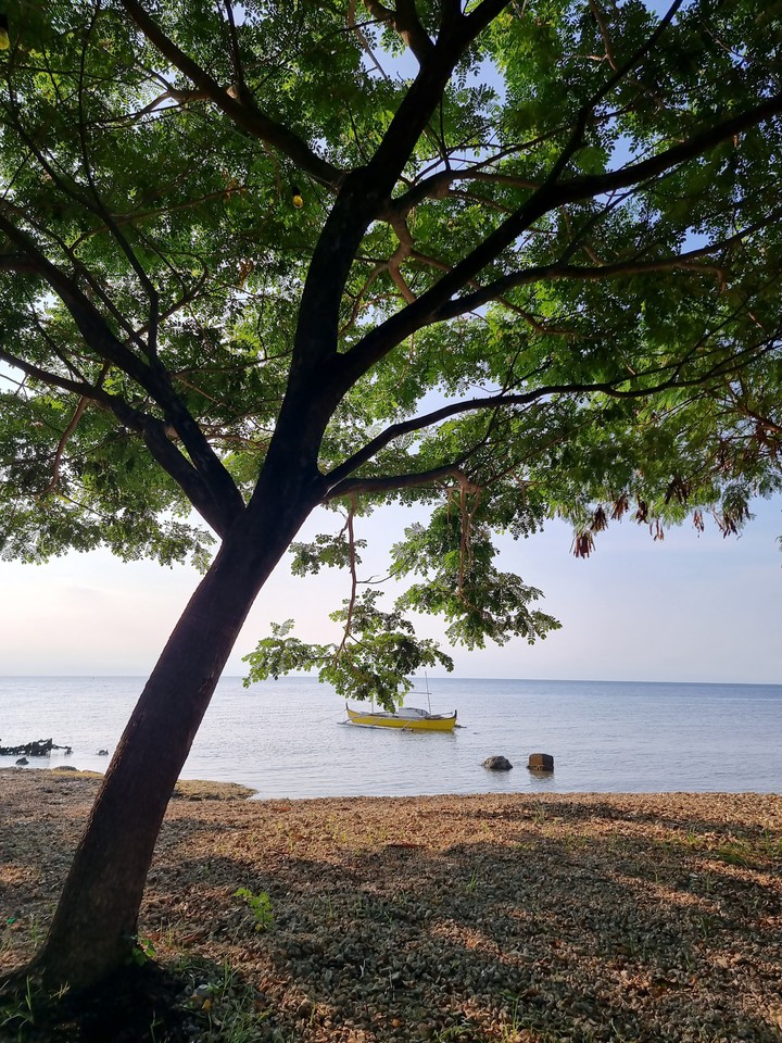 Beach Morning