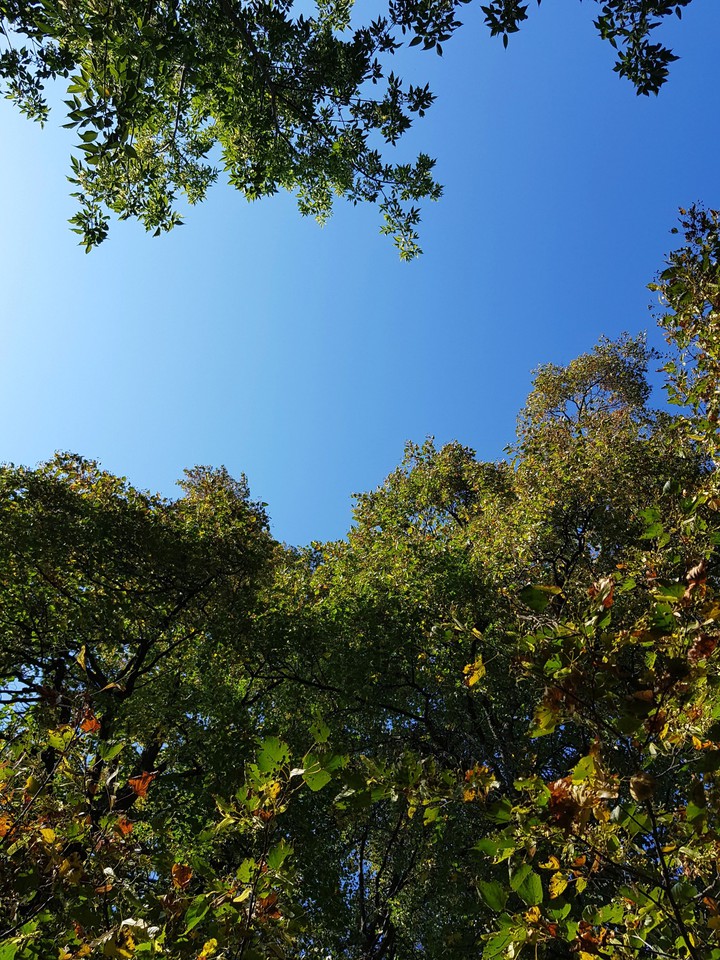 breath of autumn. 20.08.21
