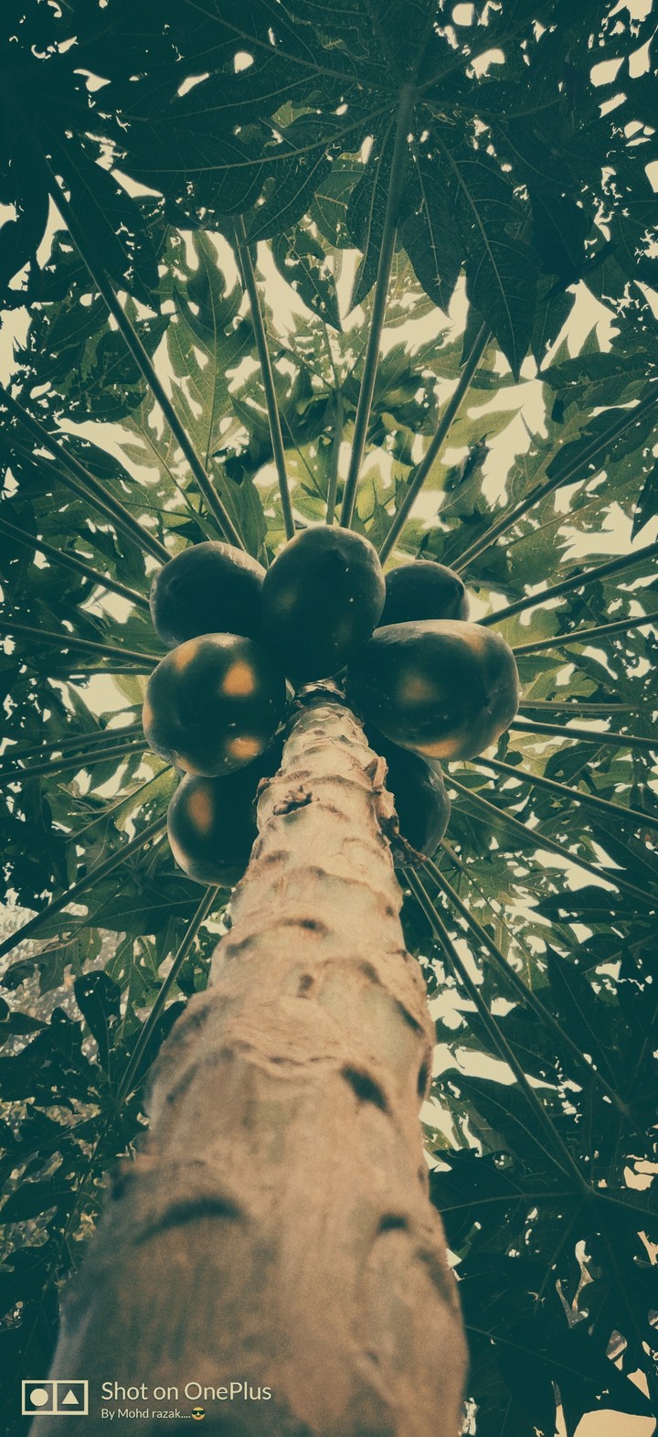 1234567