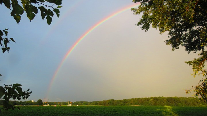 Rainbow
