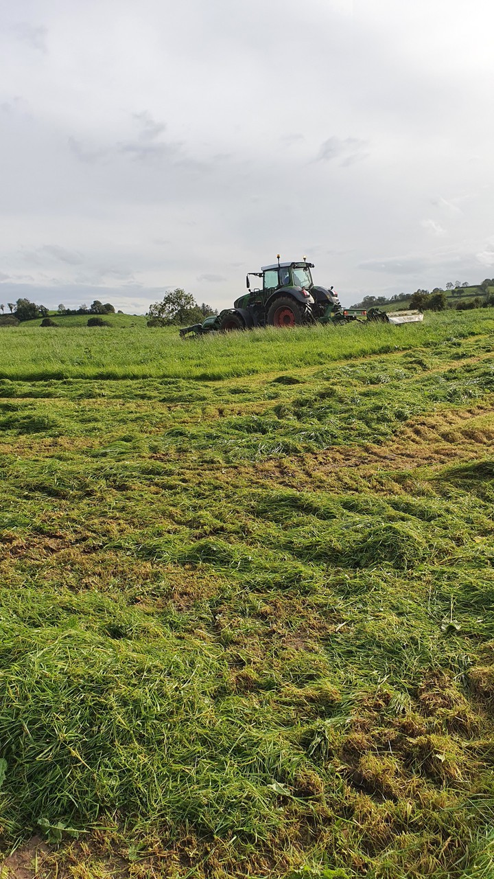 silage