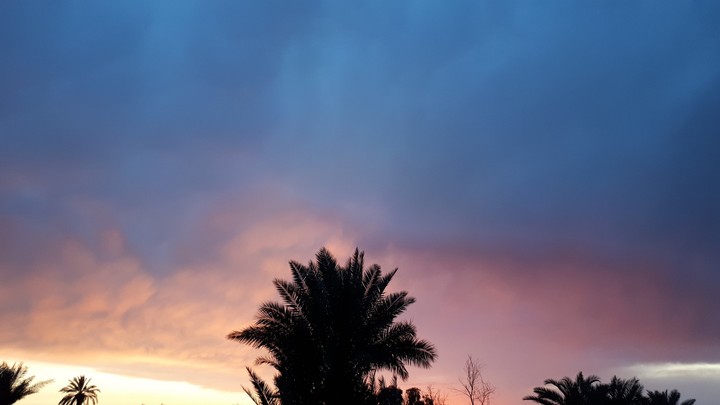 sky /plam trees/ cloud / colors