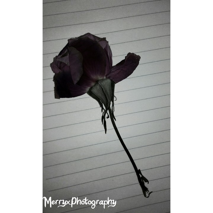 DeadRose