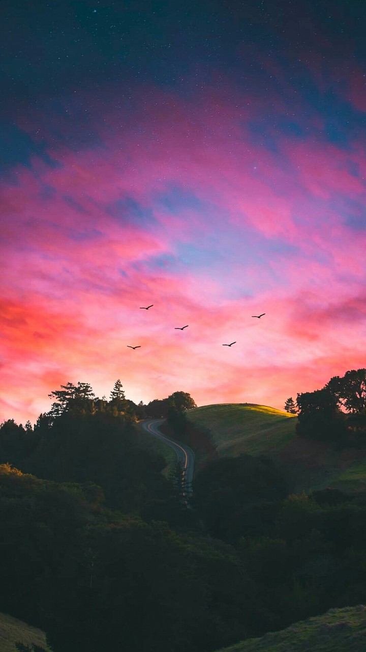 sunset
