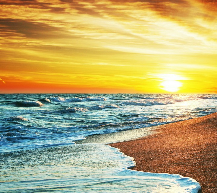 Wind Wave