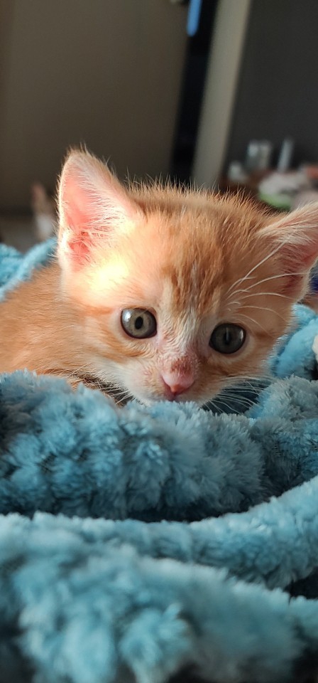 .