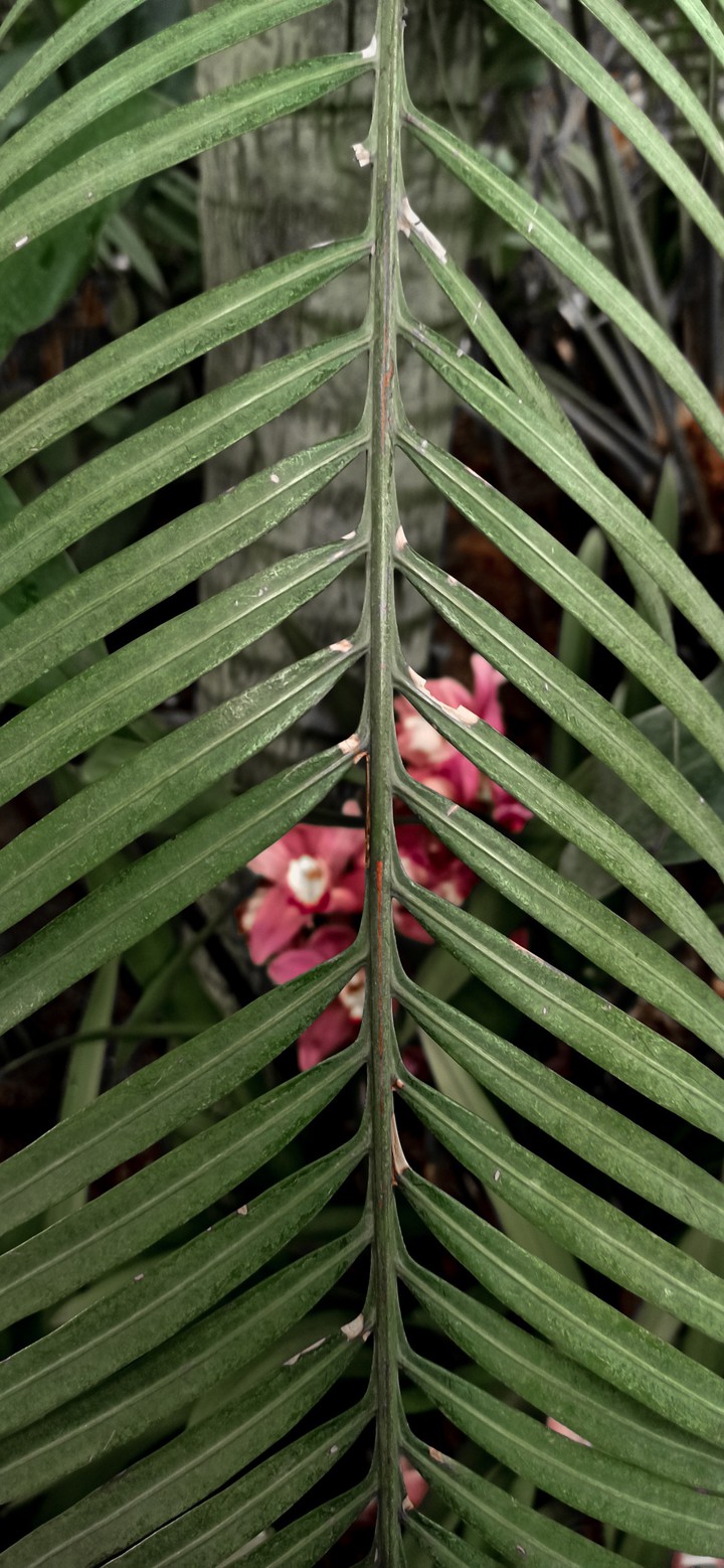 vertical