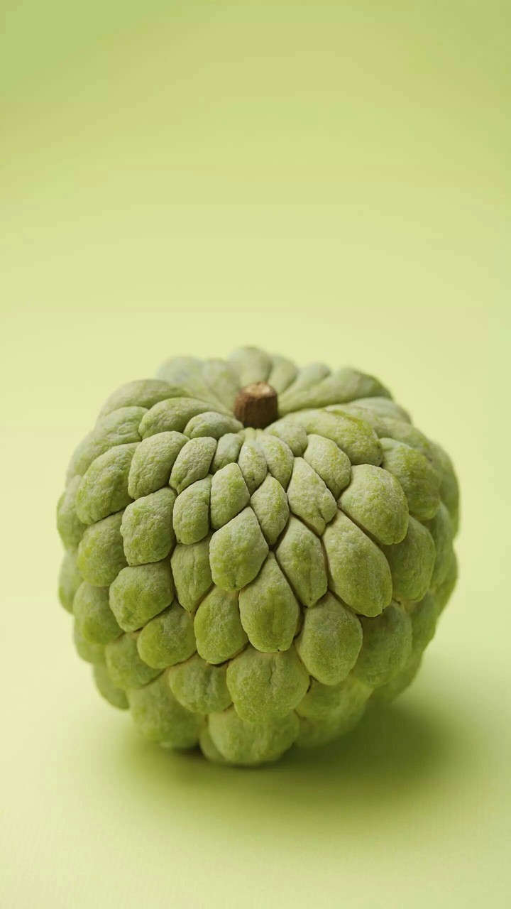 Fruit