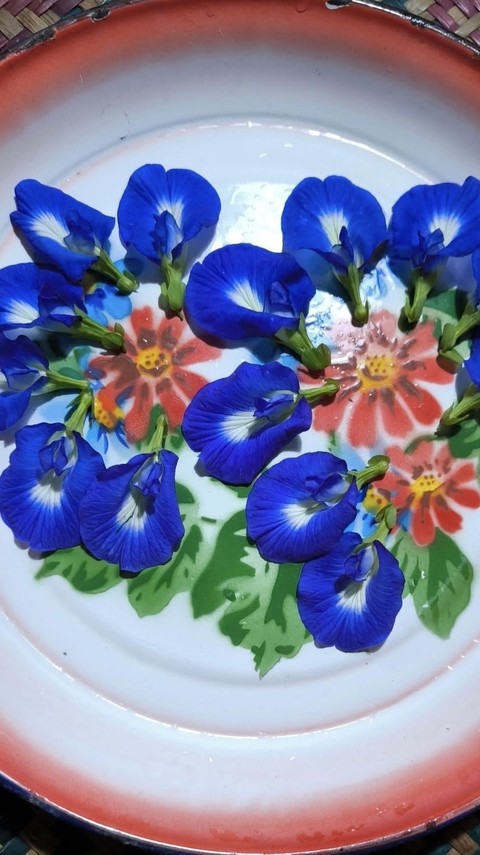 ταπετσαρίες geraniums, borages
