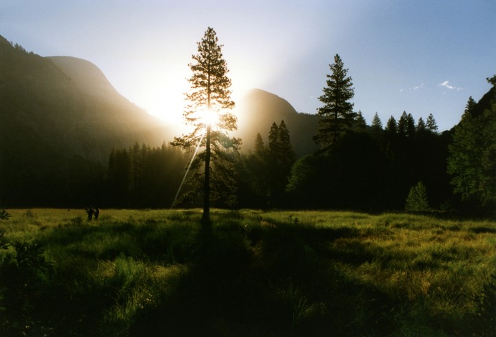 nature