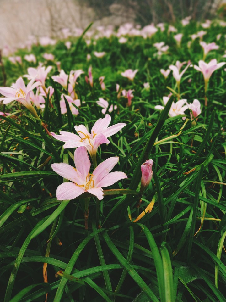 Close to the fragrance of nature