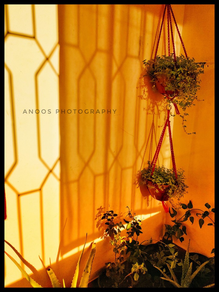 sunlight & shadow