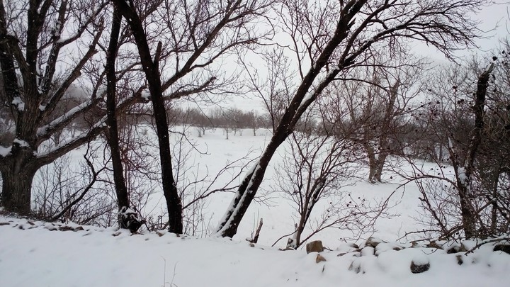 winter