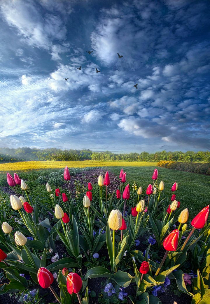 Beautiful Morning to You OGQ ❤️
